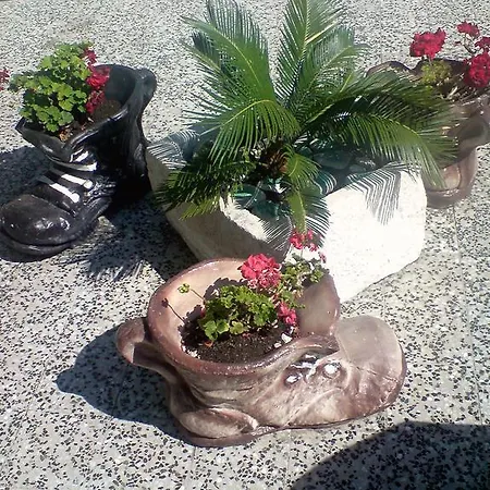 Studio Gradac 2784e * Gradac (Split-Dalmatia)